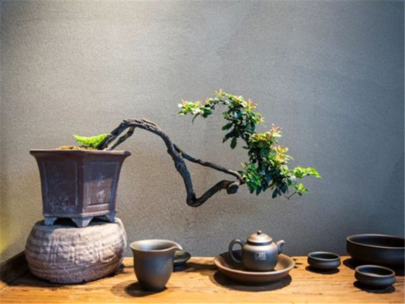 茶与空间｜探秘这处传统茶文化汇集地如何演绎空间之美